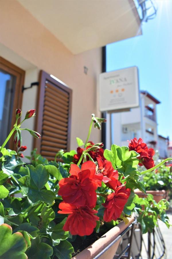 Apartments & Rooms Ivana Ровинь Номер фото