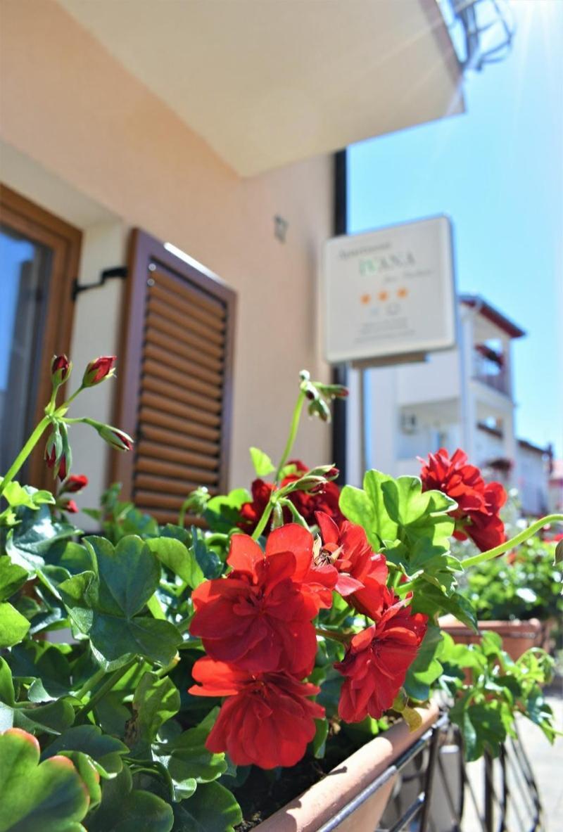 Apartments & Rooms Ivana Ровинь Номер фото
